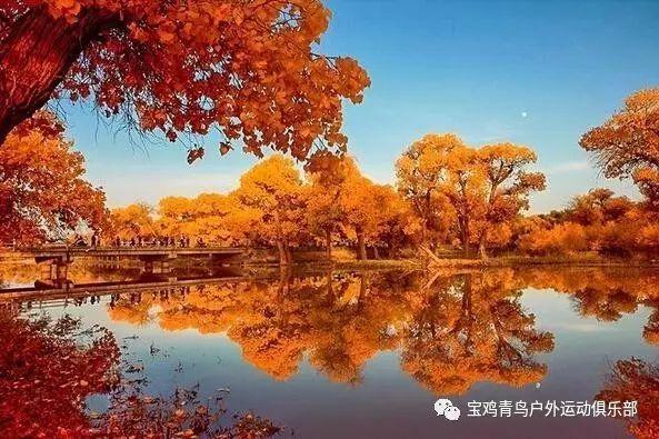 哈哈体育活动官方入口